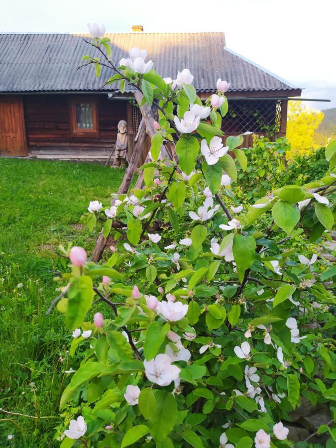 Starovitska Hata - Ethno-Cottage Verkhovyna Eksteriør billede