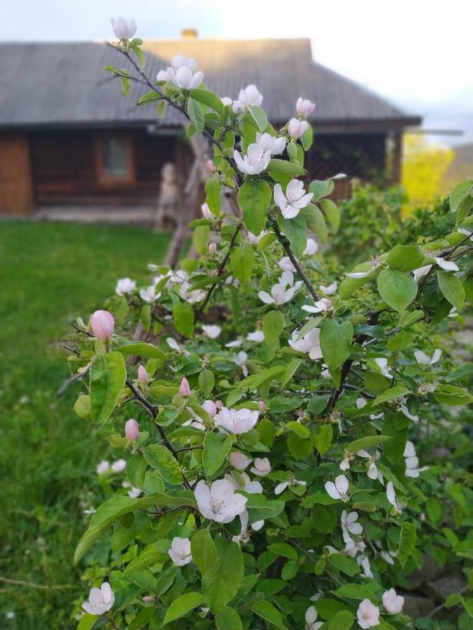 Starovitska Hata - Ethno-Cottage Verkhovyna Eksteriør billede