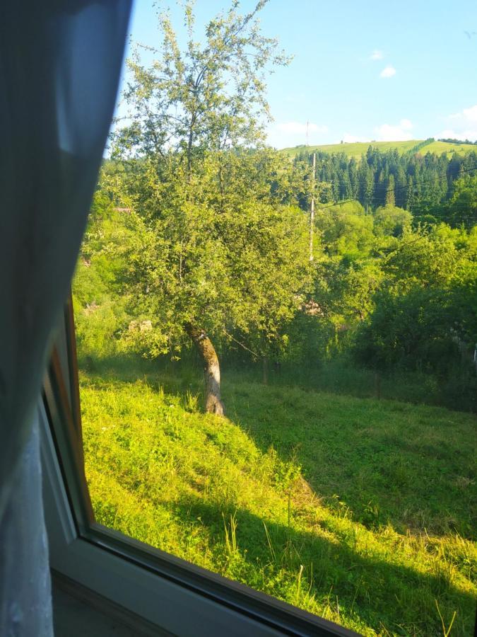 Starovitska Hata - Ethno-Cottage Verkhovyna Eksteriør billede