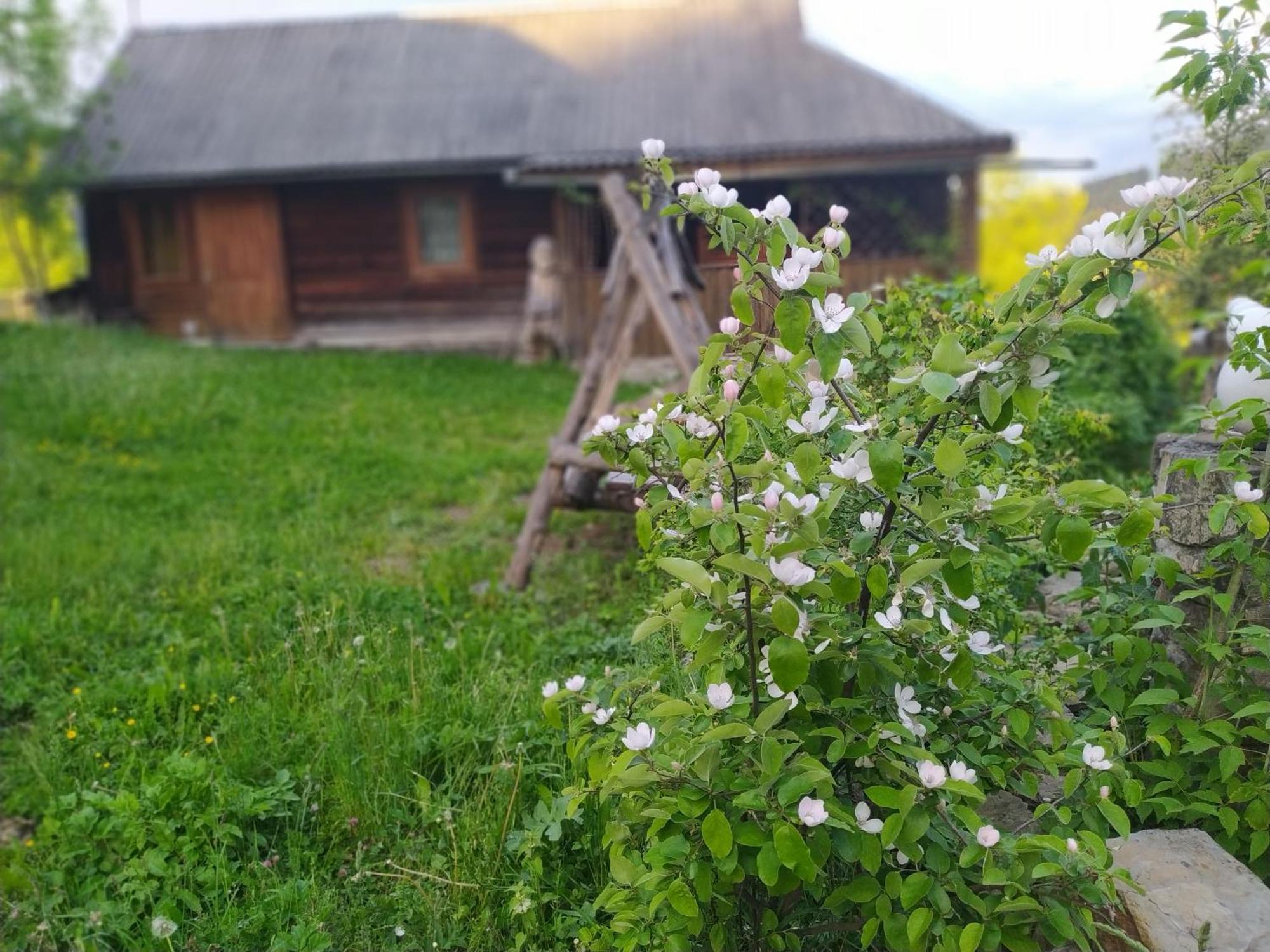 Starovitska Hata - Ethno-Cottage Verkhovyna Eksteriør billede